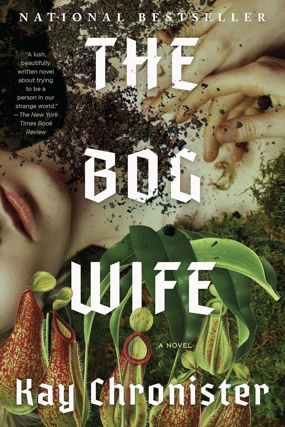 Book cover: The Bog Wife by Kay Chronister
