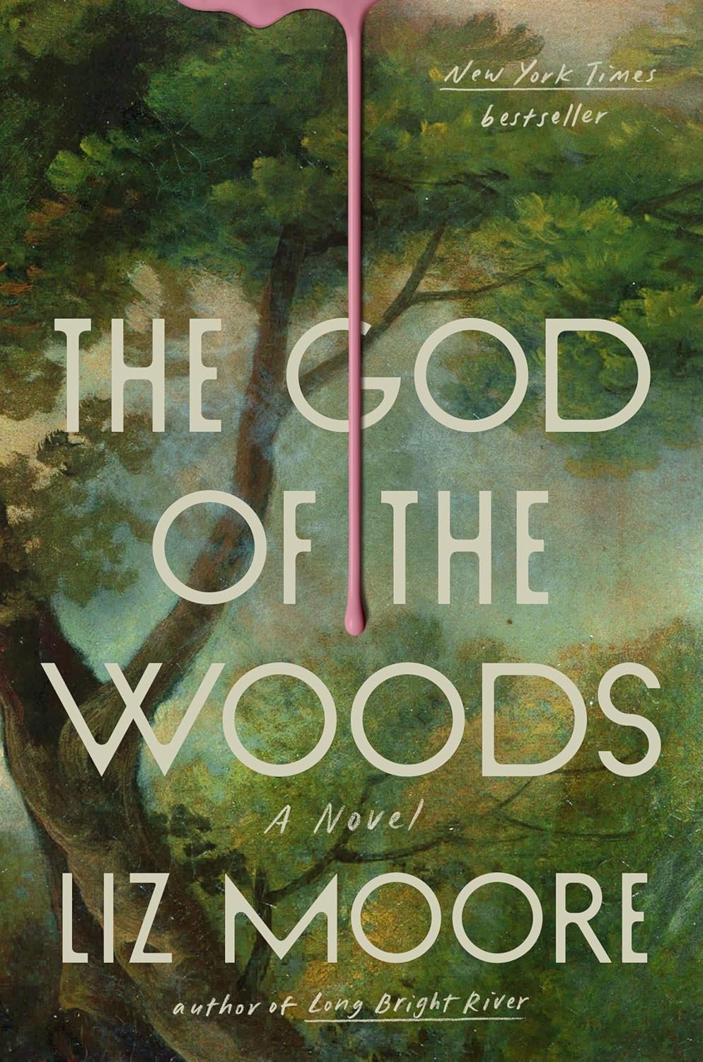 Book cover: The God of the Woods by Liz Moore
